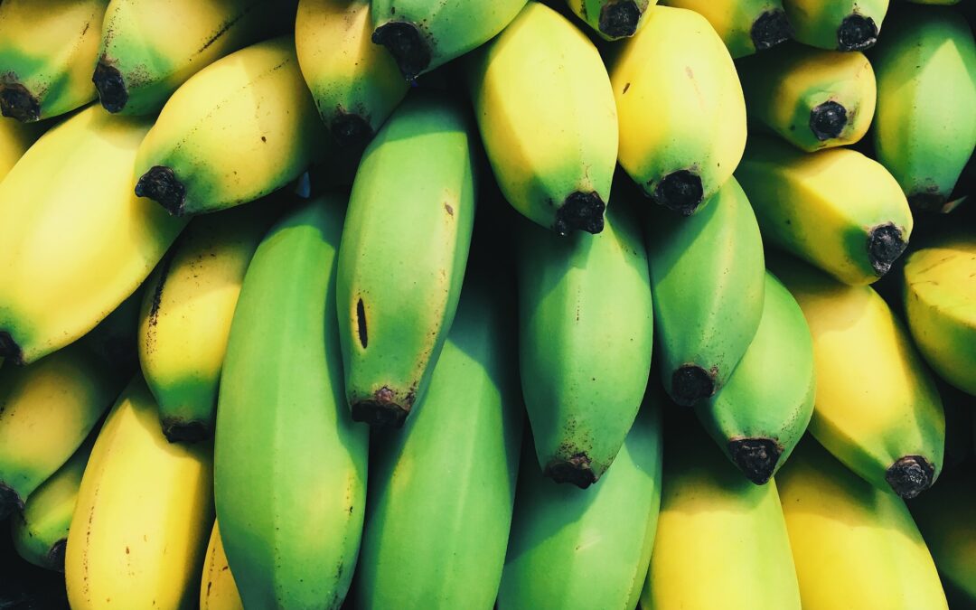 Gründe und gelbe Bananen, als Sinnbild für reife und unreife Leads also Interessenten