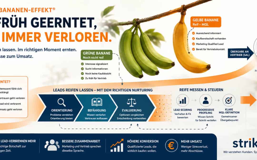 Illustration des Grüne-Bananen-Effekts®: Leads reifen durch Lead Nurturing vom ersten Interesse bis zum Marketing Qualified Lead (MQL) und werden erst dann an den Vertrieb übergeben.